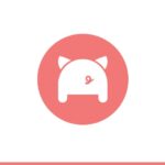 Logo for domain registrar porkbun, showing a pink pig viewed from the rear