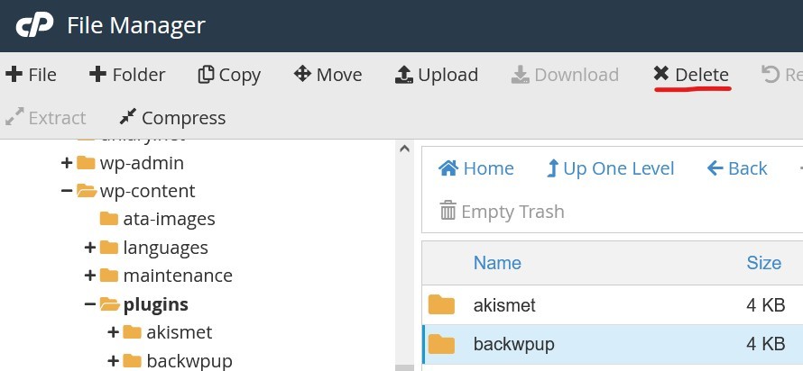 Screenshot of cPanel File Manager open to the public_html > wp-content > plugins folder with the backwpup folder showing inside the plugins directory, and the Delete action on the toolbar above the file list underlined
